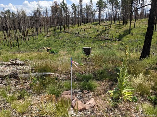 549 Drevs Pl, Fort Garland, CO 81133