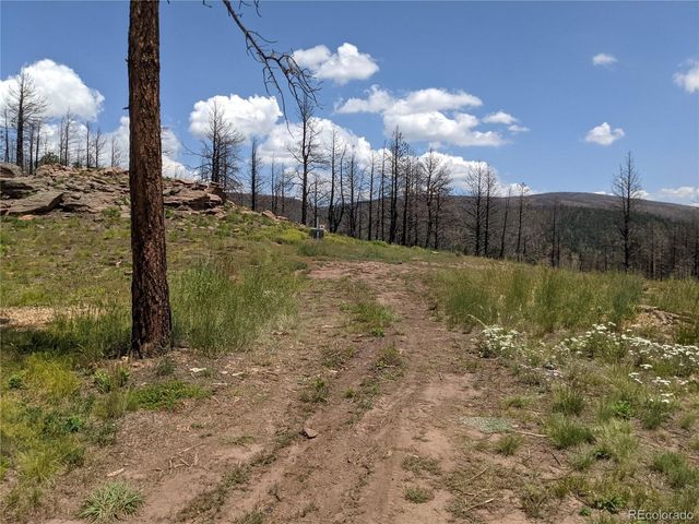 549 Drevs Pl, Fort Garland, CO 81133
