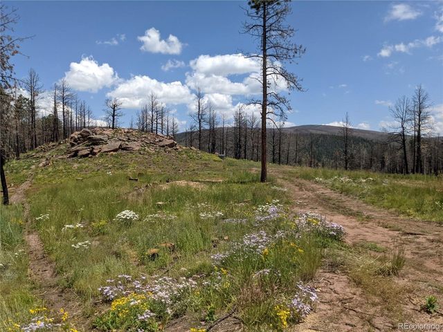 549 Drevs Pl, Fort Garland, CO 81133