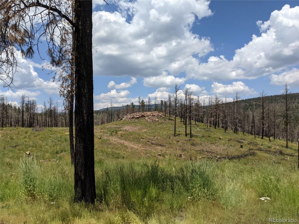549 Drevs Pl, Fort Garland, CO 81133