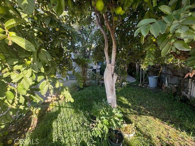 6208 Santa Fe, Huntington Park, CA 90255