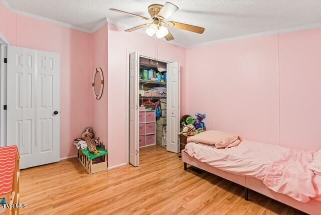 736 Susong Memorial Road, Greeneville, TN 37743