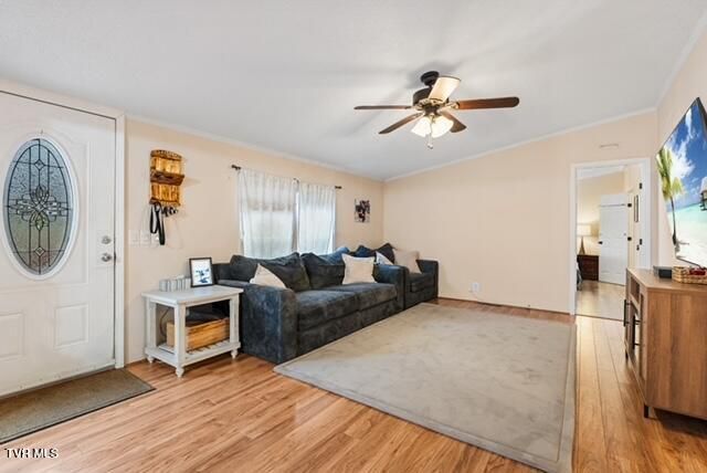 736 Susong Memorial Road, Greeneville, TN 37743