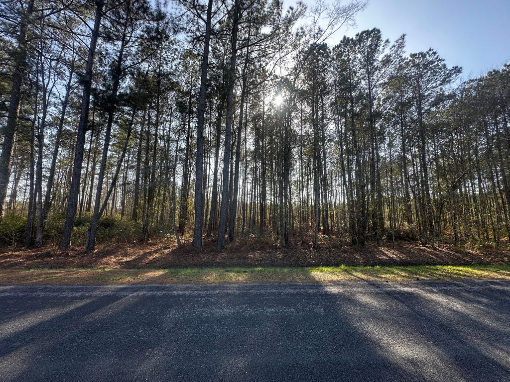 Image 2 of property listing at 801 Gar Road, Smoaks, SC 29481