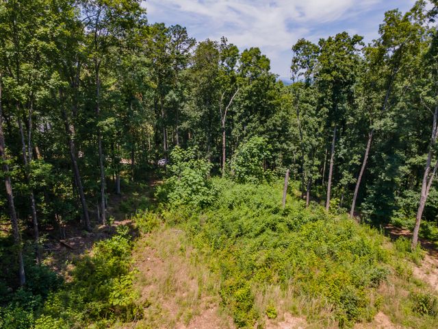 8833 Kelso Lane, Chattanooga, TN 37421