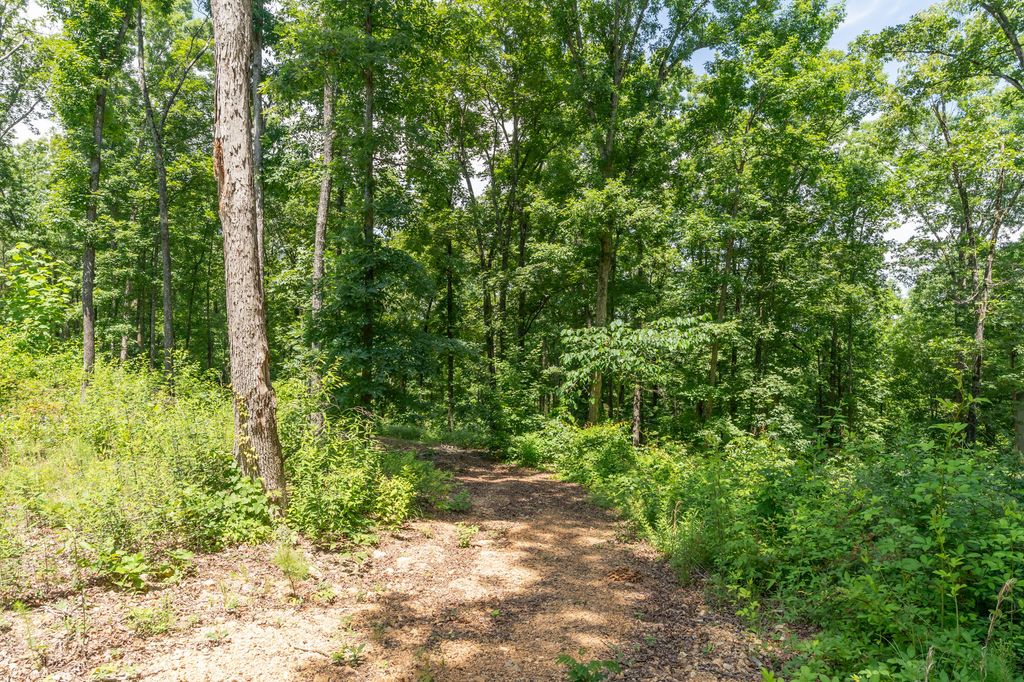8833 Kelso Lane, Chattanooga, TN 37421