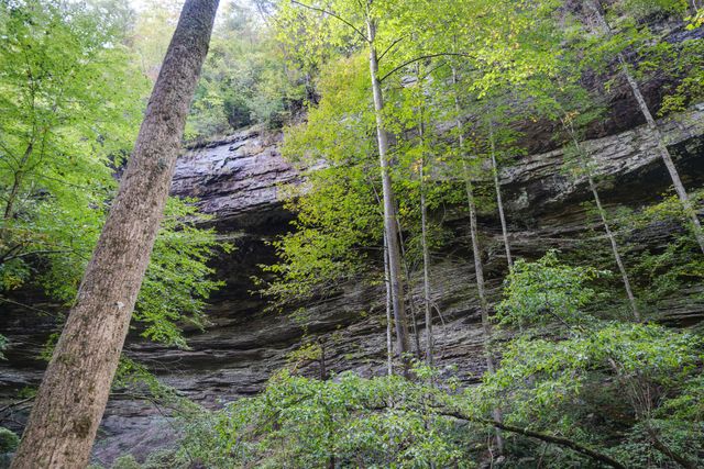 308 Timberwood Trc, Monteagle, TN 37356