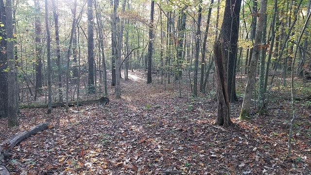 308 Timberwood Trc, Monteagle, TN 37356