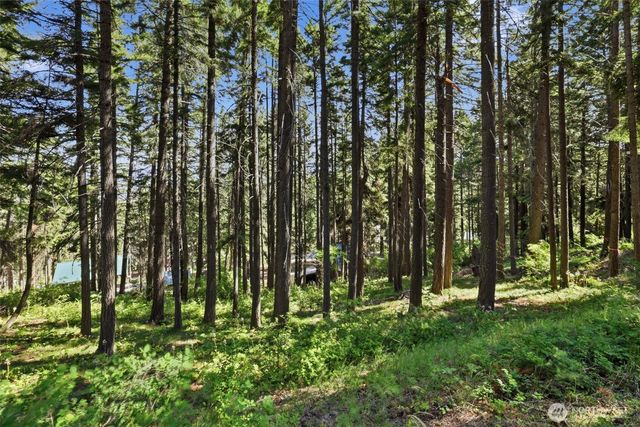 20 LOT, Cle Elum, WA 98922