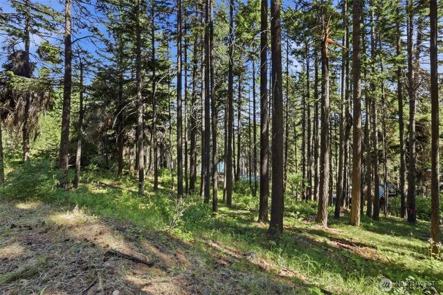 20 LOT, Cle Elum, WA 98922