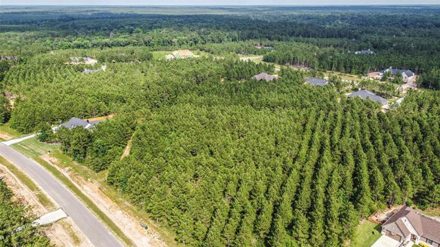 15921 Ridge Oak Road, Willis, TX 77378