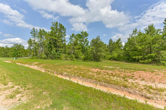15921 Ridge Oak Road, Willis, TX 77378