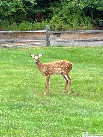 28 Rosalyn Court, Pomfret, NY 14063