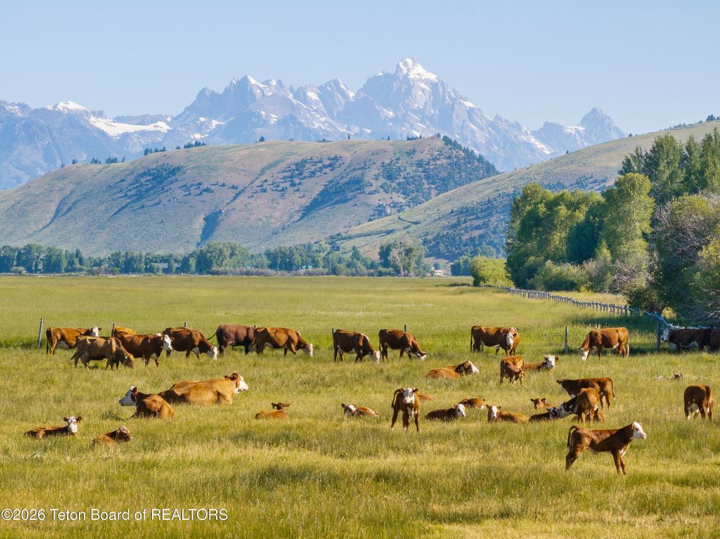 120 ACRES SOUTH PARK LOOP RD, Jackson, WY 83001 photo 24