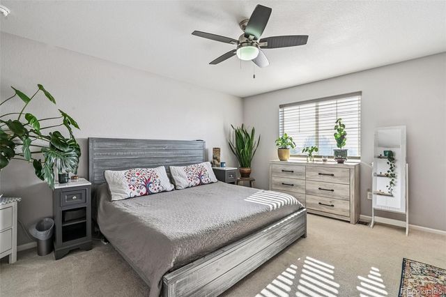 4490 E 96th Place, Thornton, CO 80229