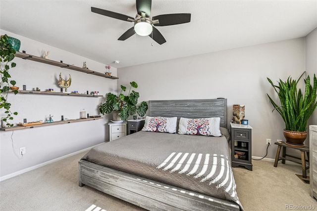 4490 E 96th Place, Thornton, CO 80229