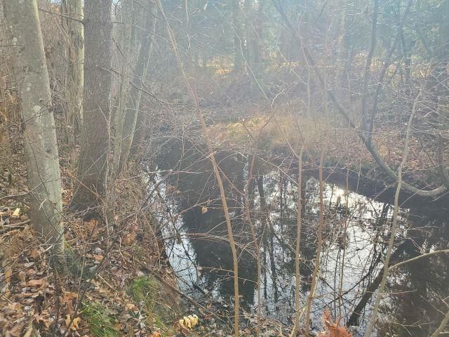 2030 George Street Lot: 35-37, Prescott, MI 48756