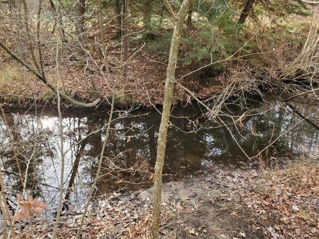 2030 George Street Lot: 35-37, Prescott, MI 48756