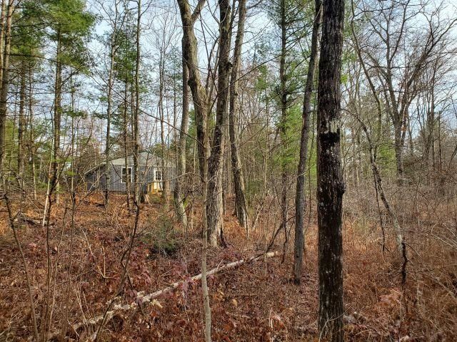 2030 George Street Lot: 35-37, Prescott, MI 48756