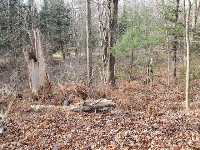 2030 George Street Lot: 35-37, Prescott, MI 48756