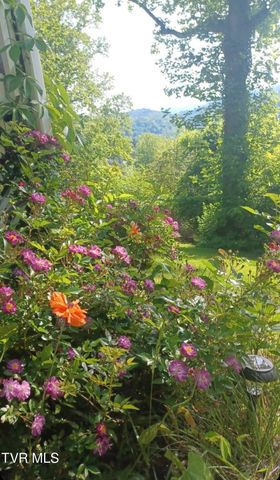 222 Clay Little Road, Elizabethton, TN 37643