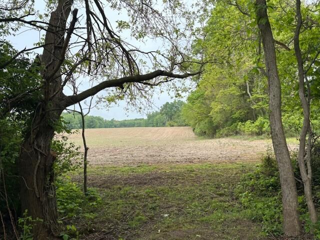 09528 57th Street, Grand Junction, MI 49056