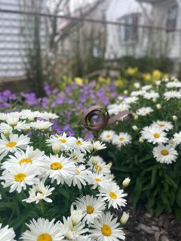 3646 S 14th STREET, Milwaukee, WI 53221