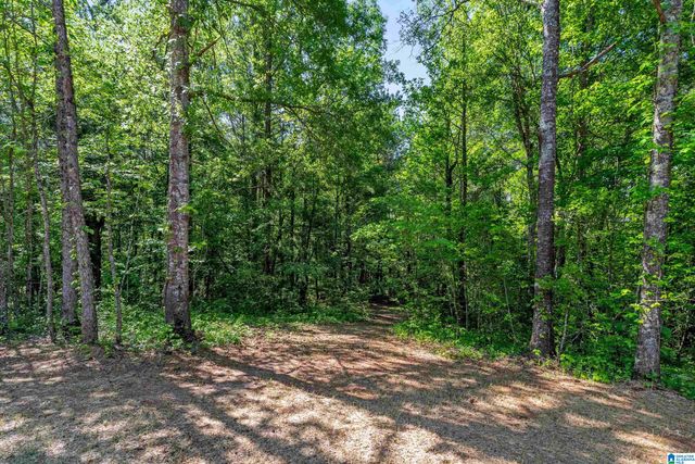 30 CREEKSTONE DRIVE, Sylacauga, AL 35151