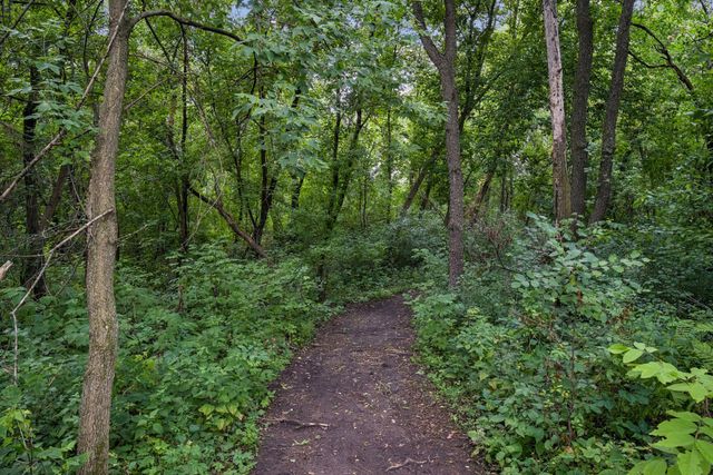 16425 Petersburg Street NE, Ham Lake, MN 55304