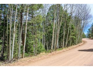 2763 N Mountain Estates Rd, Florissant, CO 80816
