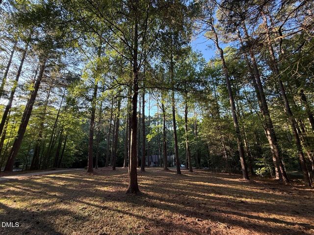 213 Long Needle Drive, Clayton, NC 27520