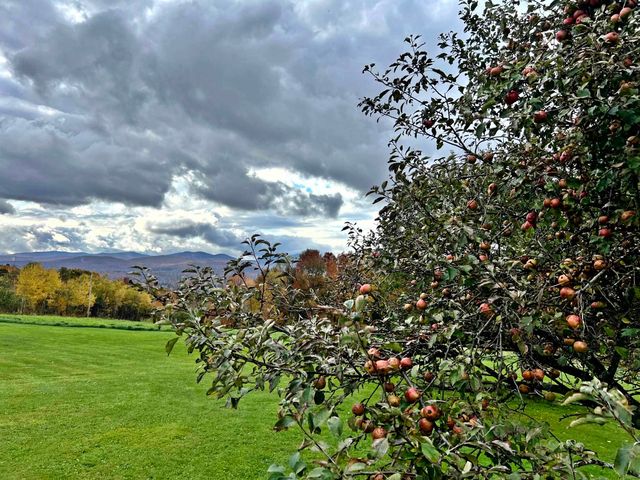 989 Bergeron Road, Troy, VT 05859