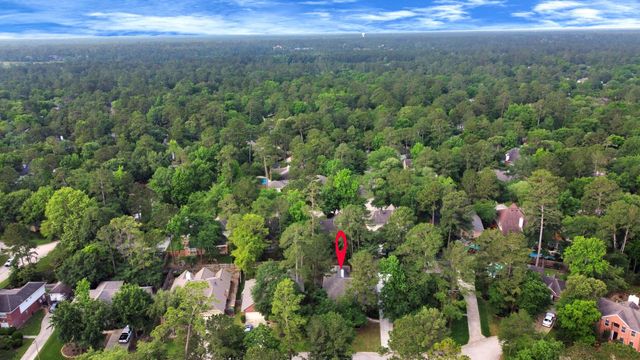 19 Long Springs Place, The Woodlands, TX 77382