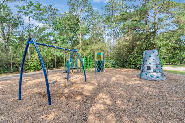 19 Long Springs Place, The Woodlands, TX 77382