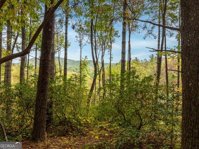 LOT 1 Chief Whitetails Road, Ellijay, GA 30540