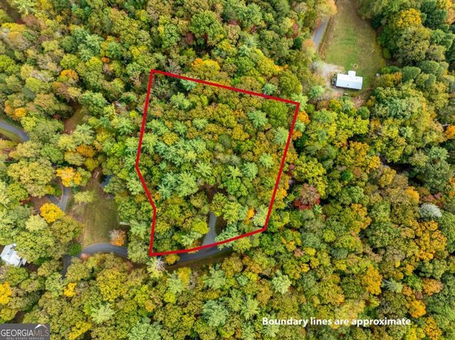 LOT 1 Chief Whitetails Road, Ellijay, GA 30540