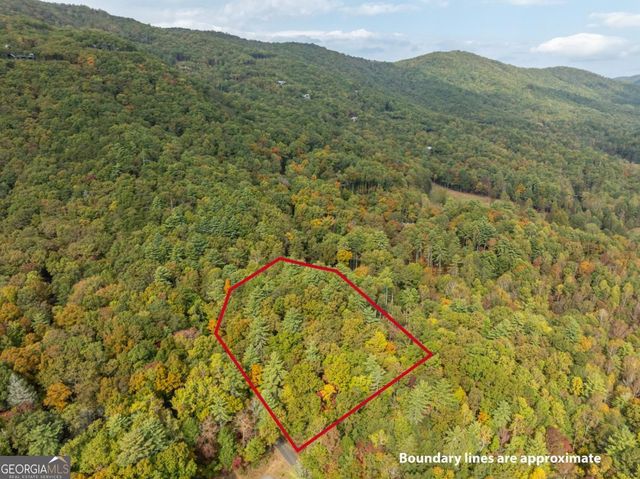 LOT 1 Chief Whitetails Road, Ellijay, GA 30540