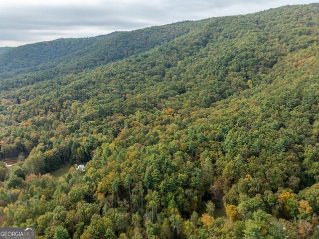 LOT 1 Chief Whitetails Road, Ellijay, GA 30540