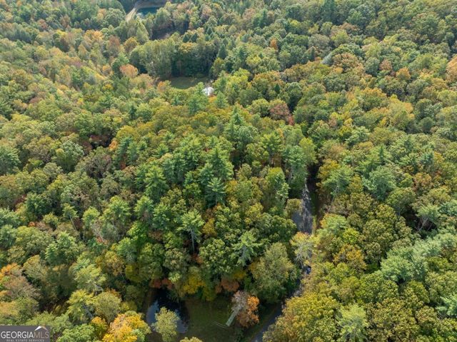 LOT 1 Chief Whitetails Road, Ellijay, GA 30540