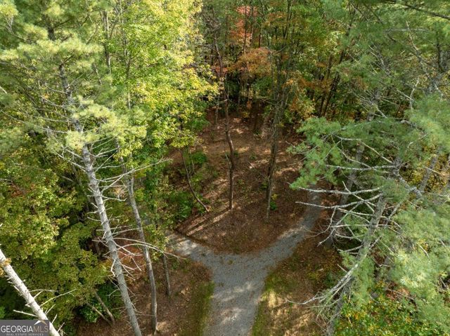 LOT 1 Chief Whitetails Road, Ellijay, GA 30540