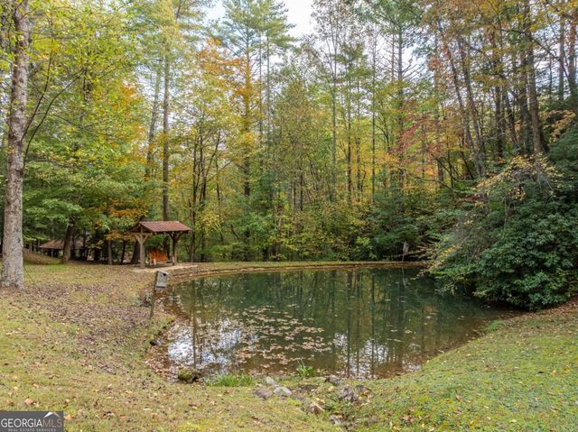 LOT 1 Chief Whitetails Road, Ellijay, GA 30540