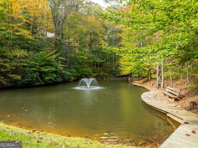 LOT 1 Chief Whitetails Road, Ellijay, GA 30540