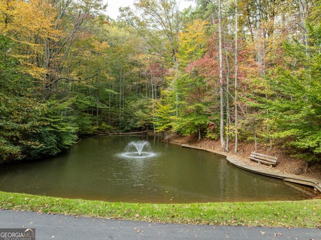 LOT 1 Chief Whitetails Road, Ellijay, GA 30540