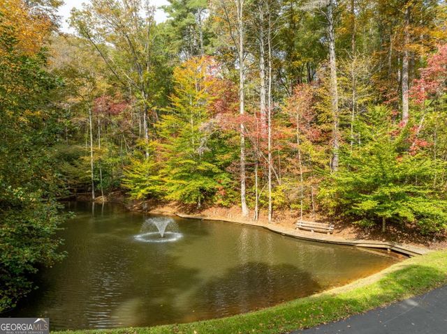 LOT 1 Chief Whitetails Road, Ellijay, GA 30540