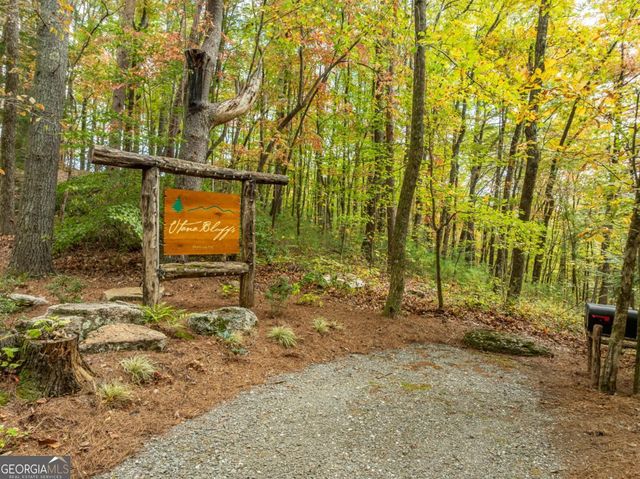LOT 1 Chief Whitetails Road, Ellijay, GA 30540
