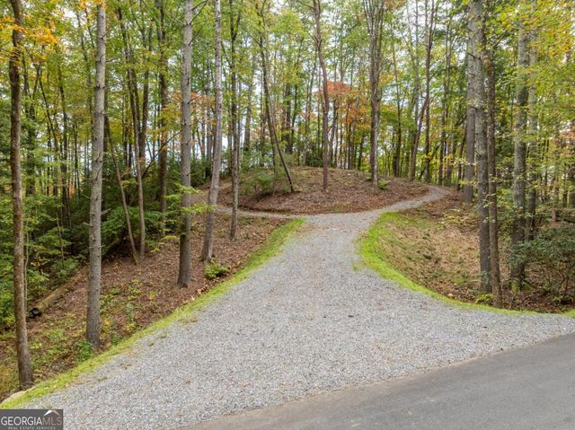 LOT 1 Chief Whitetails Road, Ellijay, GA 30540