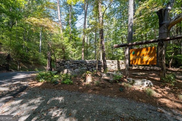 LOT 1 Chief Whitetails Road, Ellijay, GA 30540