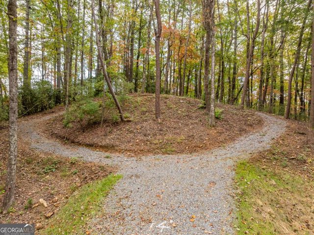 LOT 1 Chief Whitetails Road, Ellijay, GA 30540