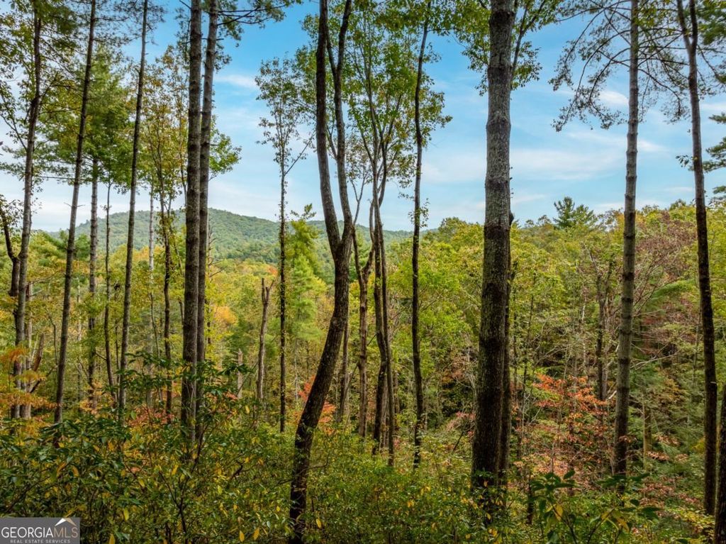 LOT 1 Chief Whitetails Road, Ellijay, GA 30540