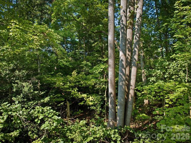 0 Crestwood Avenue 4,5, Morganton, NC 28655
